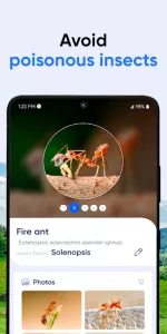 Bug ID app screenshot 1