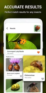 Insect identifier by Photo Cam app screenshot 5