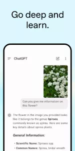 ChatGPT app screenshot 4