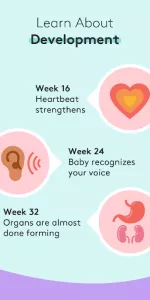 Pregnancy Tracker & Baby App app screenshot 4