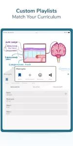 Osmosis Med Videos & Notes app screenshot 15