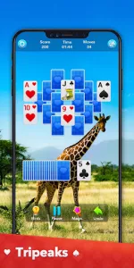 Solitaire Collection app screenshot 19