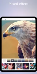 Low Poly  app screenshot 13