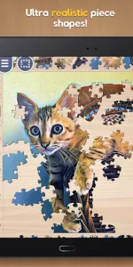 Just Jigsaws app screenshot 12