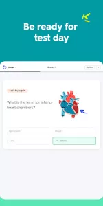 Quizlet app screenshot 17