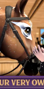 Star Equestrian  app screenshot 3