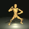 Baji Quan Trainer app icon