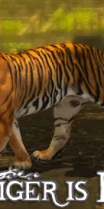 Ultimate Tiger Simulator 2 app screenshot 6