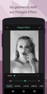 Polygon Effect  app screenshot 1