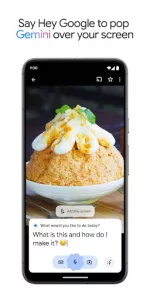 Google Gemini app screenshot 6
