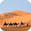 Desert Wallpaper 2024 app icon