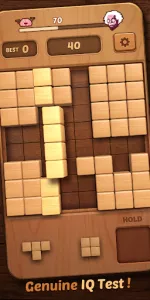 Wood Block Puzzle 3D app screenshot 4