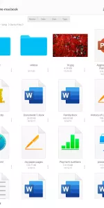 FE File Explorer Pro app screenshot 9