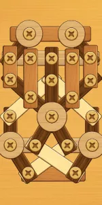 Screw Puzzle app screenshot 6