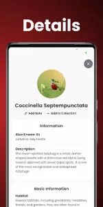 Insect Identifier  app screenshot 3