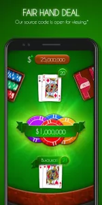 Blackjack!  app screenshot 19