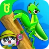 Little Panda's Insect World app icon