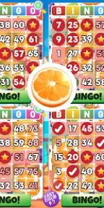 Bingo Classic  app screenshot 14