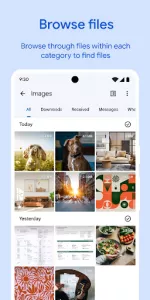 Files by Google app screenshot 2