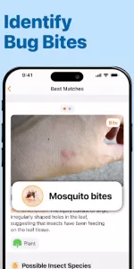 InsectAI  app screenshot 4