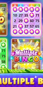 Bingo Vacation  app screenshot 19