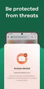 Island Enterprise Browser app screenshot 2