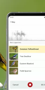 Merlin Bird ID by Cornell Lab app screenshot 3