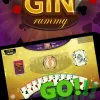 Learn How to Use Gin Rummy  | A Guide for Games Enthusiasts