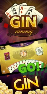 Gin Rummy  app screenshot 1