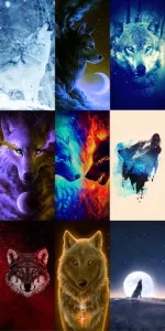 Wolf Wallpaper HD app screenshot 18