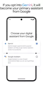 Google Gemini app screenshot 7