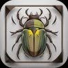 AI Insect & Bug Identifier App app icon