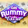 Gin Rummy Extra  app icon