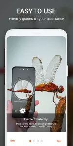 Insect identifier by Photo Cam app screenshot 12