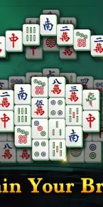 Vita Mahjong app screenshot 17