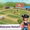 Learn How to Use My Horse Stories | A Guide for Games Enthusiasts