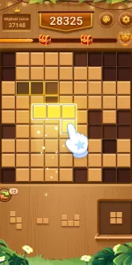 Wood Block Puzzle app screenshot 13