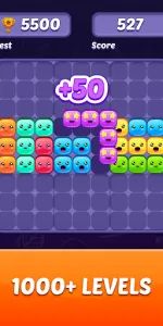 Block Puzzle Game app screenshot 12