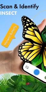 Insect Identifier Bug Identify app screenshot 7