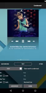 Poweramp Music Player  app screenshot 15