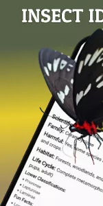 AI Insect & Bug Identifier App app screenshot 9