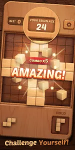 Wood Block Puzzle 3D app screenshot 9