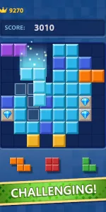 Block Puzzle app screenshot 18