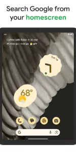 Google app screenshot 9