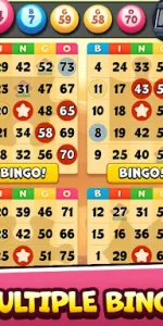 Bingo Drive app screenshot 16