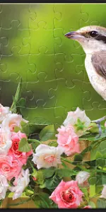 Jigsaw Puzzles for Adults app screenshot 24