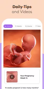 Pregnancy Tracker & Baby App app screenshot 2