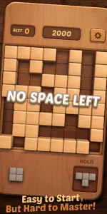 Wood Block Puzzle 3D app screenshot 5