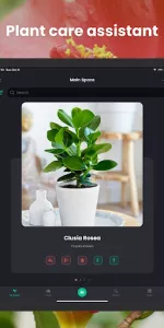 PlantIn Plant Identifier, Care app screenshot 10