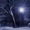 Peaceful Snowfall app icon